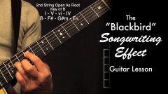 BlackbirdEffect_Edited